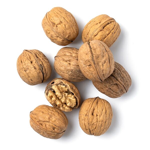 Грецкий орех Oko Baum в скорлупе, Чили, вес