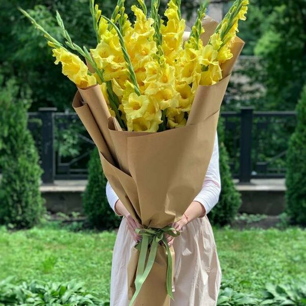 19 жёлтых гладиолусов