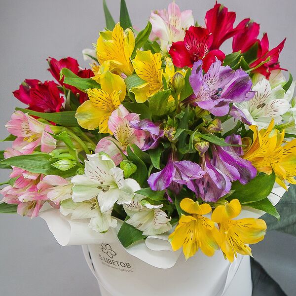 Букет из 9 альстромерий в шляпной коробке