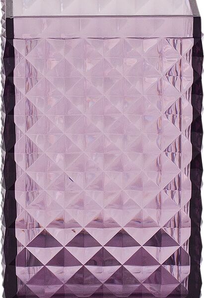 Стакан для зубных щеток Swensa Rapas фиолетовый