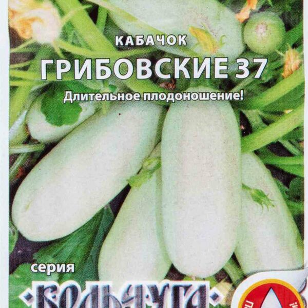 Кабачок Грибовские 37 серия Кольчуга
