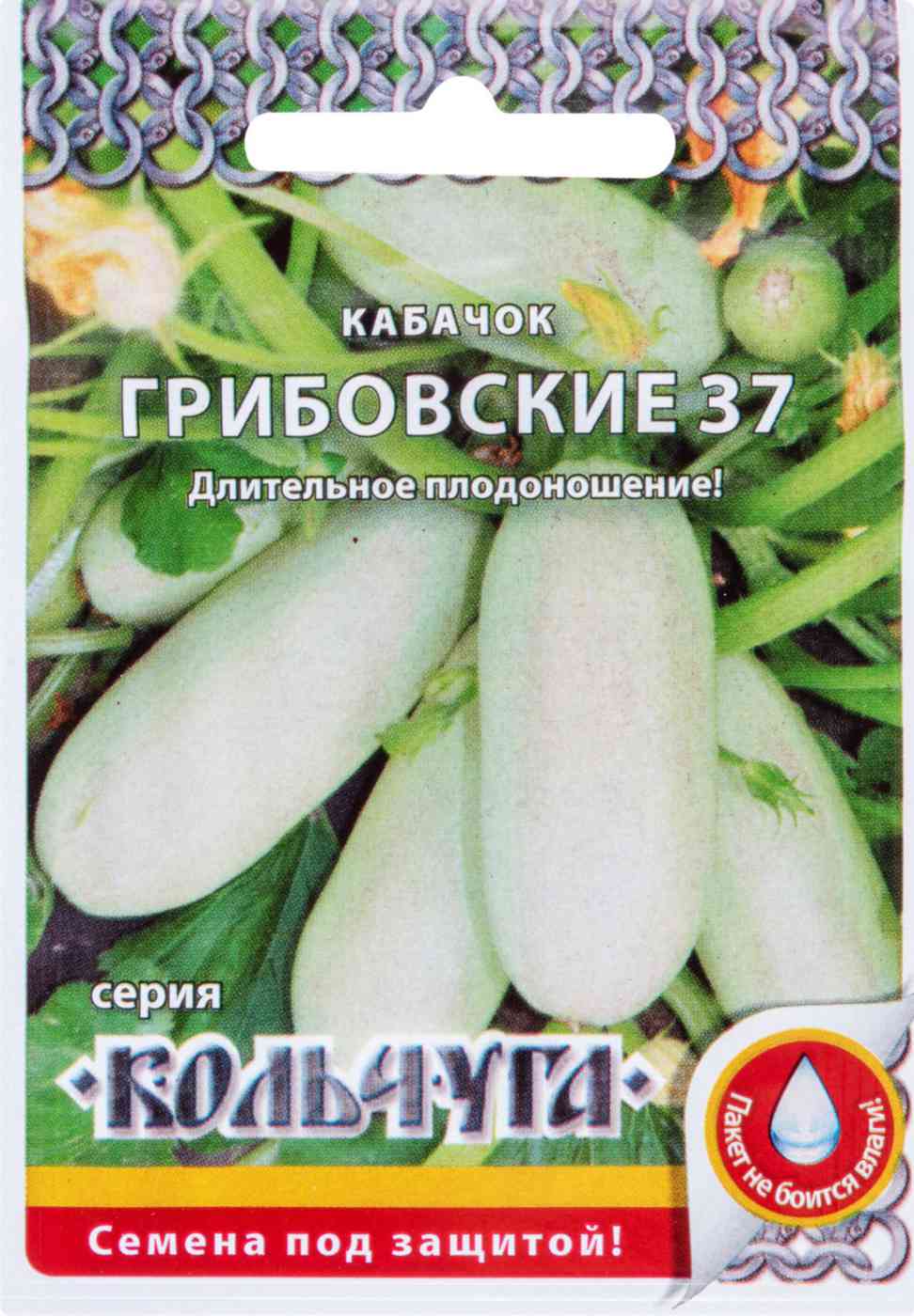 

Кабачок Грибовские 37 серия Кольчуга