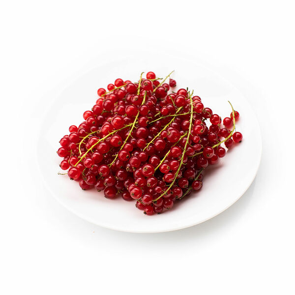 Красная смородина Липецкая область