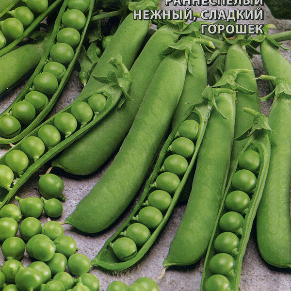 Семена ДОМ СЕМЯН Горох Веста, 75шт