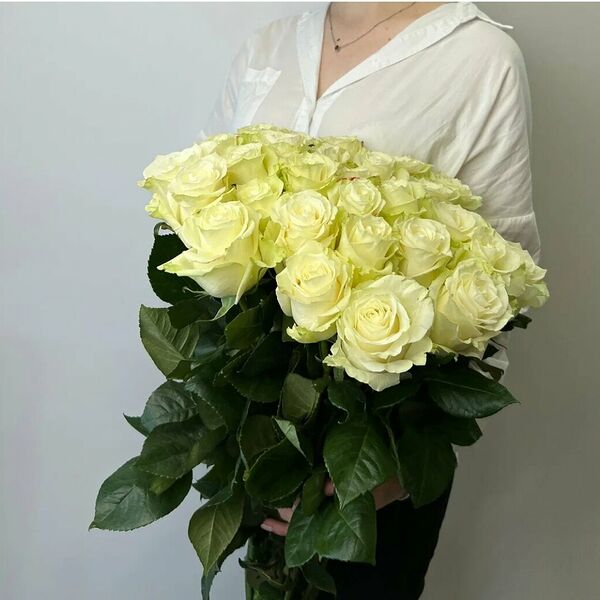 БЕЛАЯ РОЗА ПРЕМИУМ КЛАССА 60см 35 шт