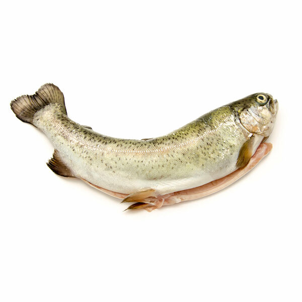 Форель Летний Бахтак ПСГ