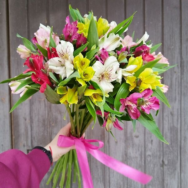 Букет из 15 альстромерий микс