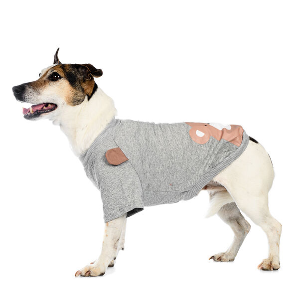 Футболка для собак Petmax XL серый