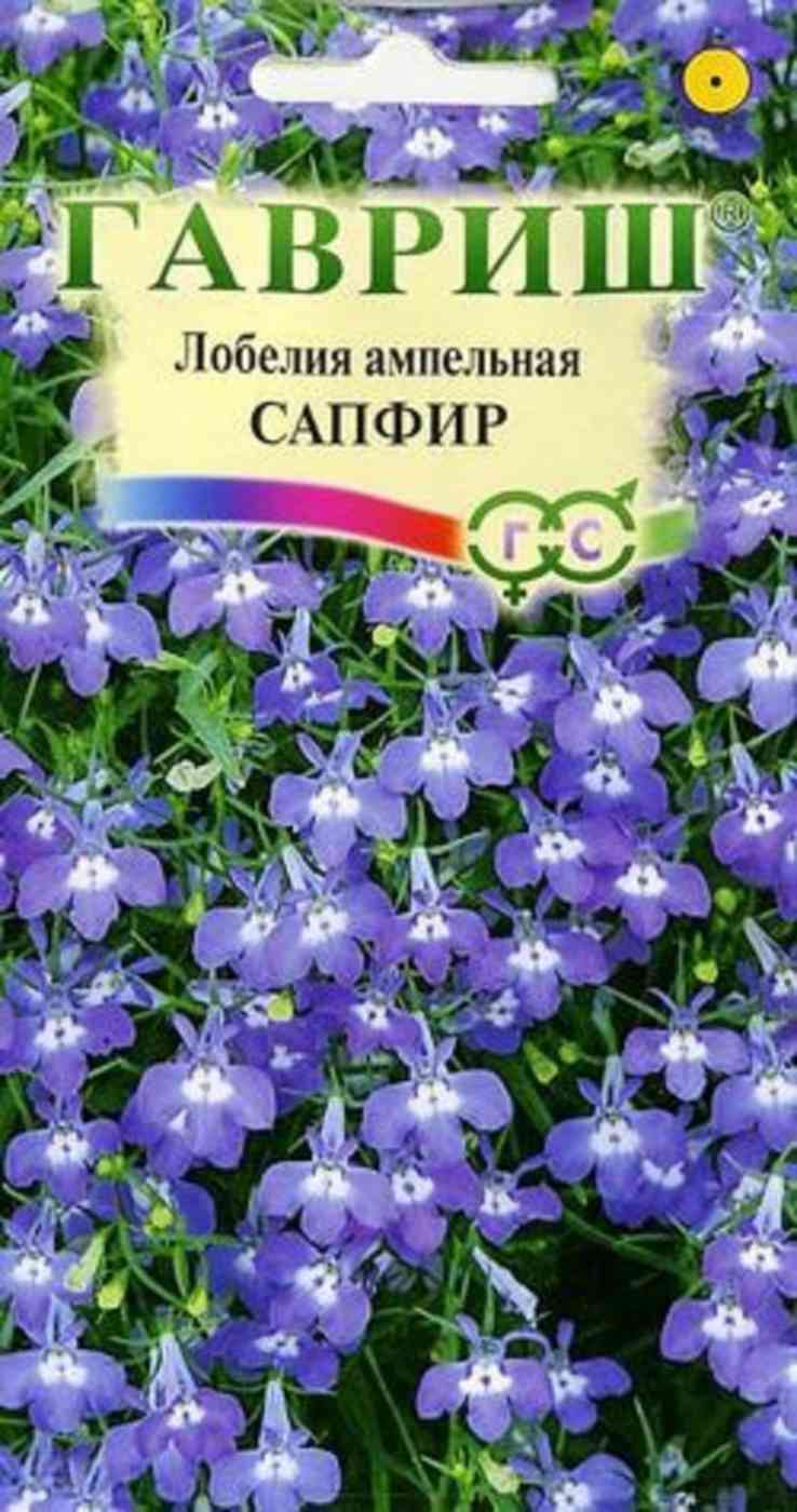 

Лобелия ампельная Сапфир ТМ Гавриш