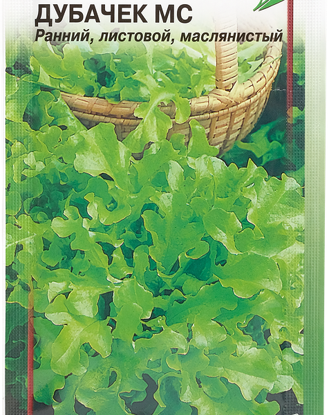Семена Салат Дубачек