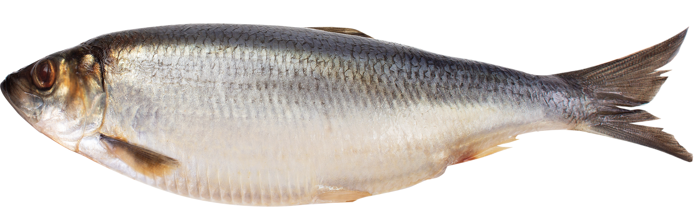 

Сельдь Кубанский Продукт соленая вес