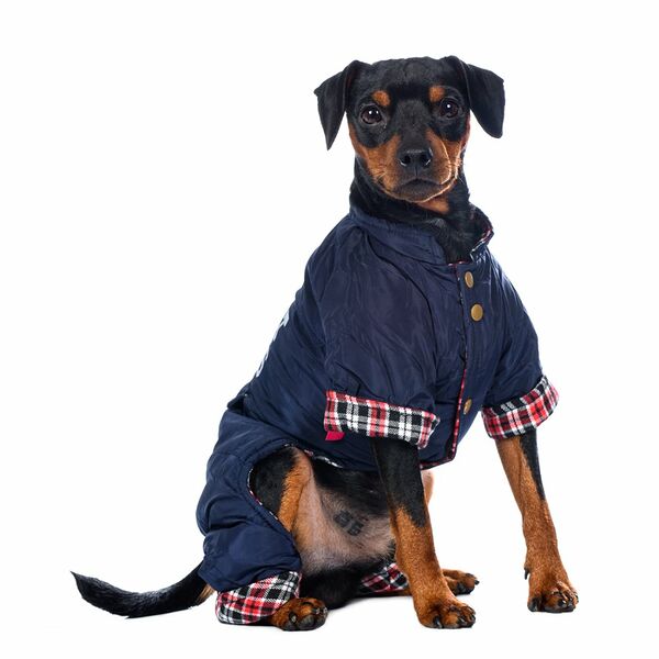 Комбинезон для собак 3XL синий (унисекс)