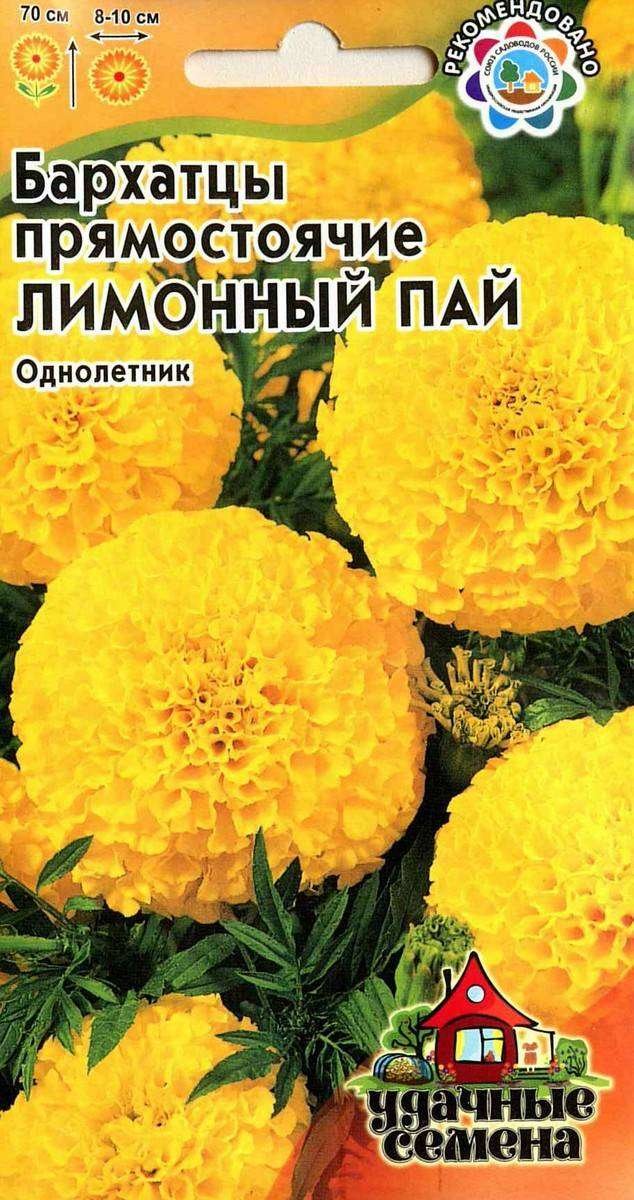 

Семена Удачные Семена Бархатцы (Тагетес) прямостоячие Лимонный пай 0.1 г дизайн упаковки в ассортименте