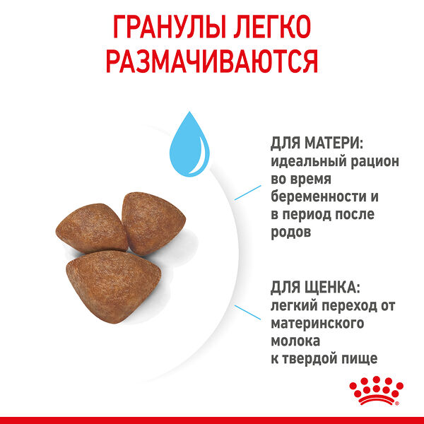 Royal Canin Mini Starter для щенков до 2 месяцев, беременных и кормящих сук Курица