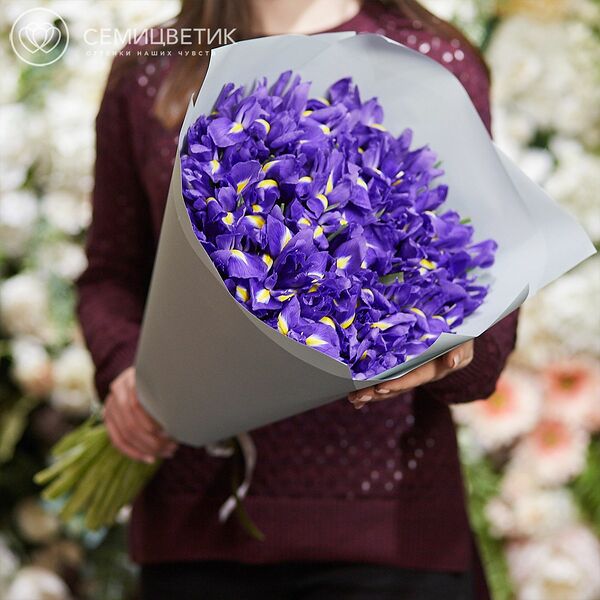 Букет из 51 синего ириса в зеленой пленке