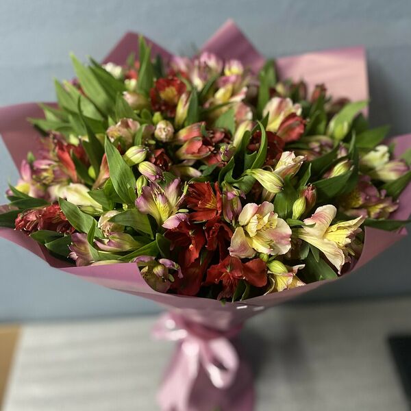 Альстромерия