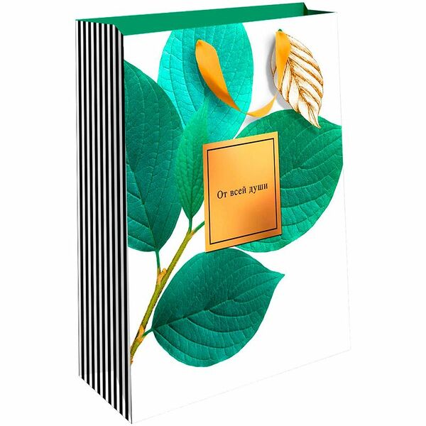 Пакет Арт и Дизайн BC премиум 17.8х23см