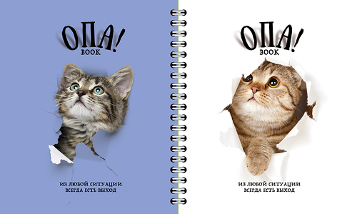 Тетрадь общая ПЗБМ Перевертыш Опа! А5 96 листов, в клетку/в линейку на гребне, Арт. 28558 в ассортименте