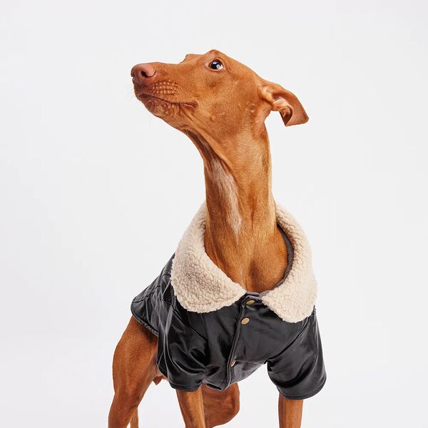 Куртка из кожзама для собак, 4XL, черная