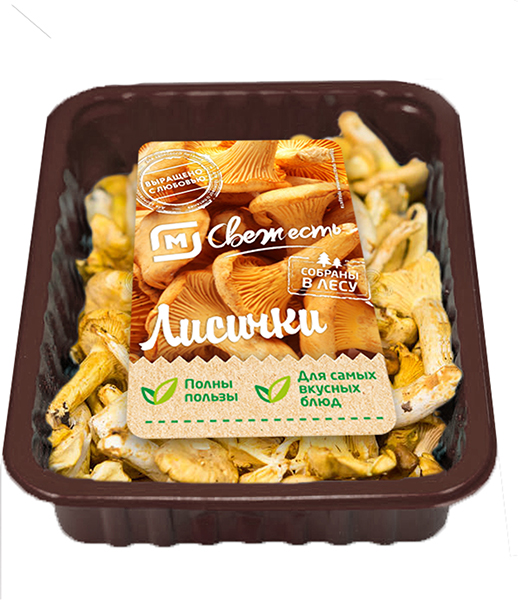 

Грибы Лисички дикорастущие