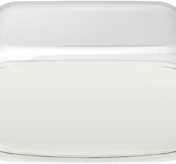 Масленка Бытпласт SH пластиковая 18.9х11х6.9см