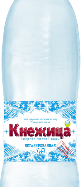 Вода питьевая КНЕЖИЦА негазированная