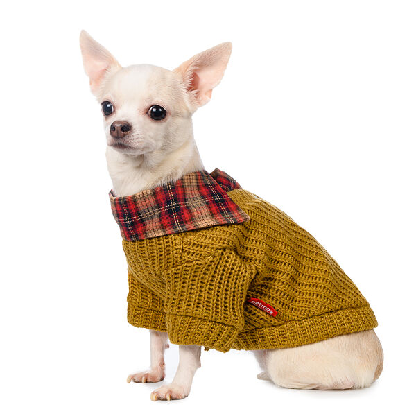 Свитер с пуговицами для собак M желтый унисекс