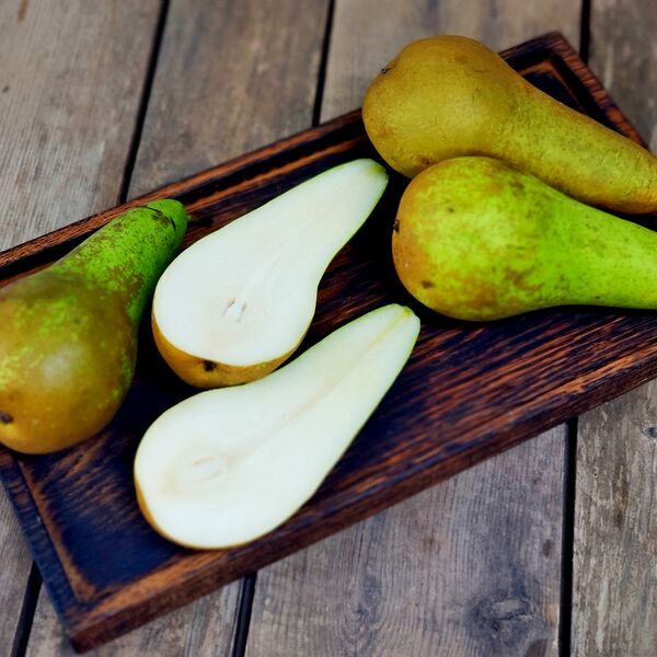 Груша Конференция