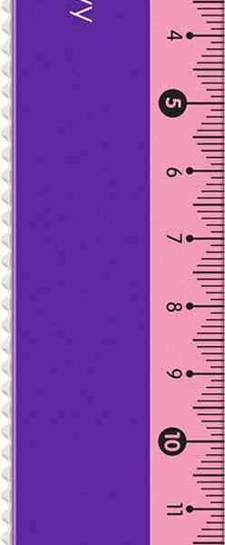 Линейка Berlingo Envy цвет в ассортименте, 15 см