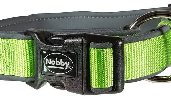 Ошейник для собак Nobby CLASSIC PRENO 20-30см/20мм нейлон зеленый/серый