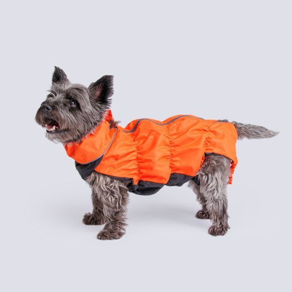 Жилетка с мембраной и подкладкой для собак, 36х58 см, оранжевый (мальчик)
