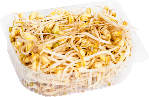 

Проростки Sibrostok фасоли золотистой маш 80 г