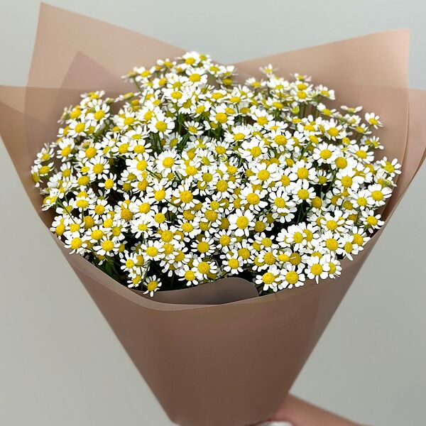 Букет из 9 ромашек