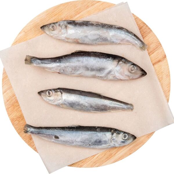 Салака неразделанная мороженая