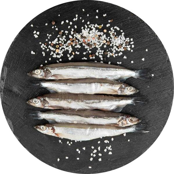 Мойва охлаждённая дефростированная, (1 штука ~ 500 г)