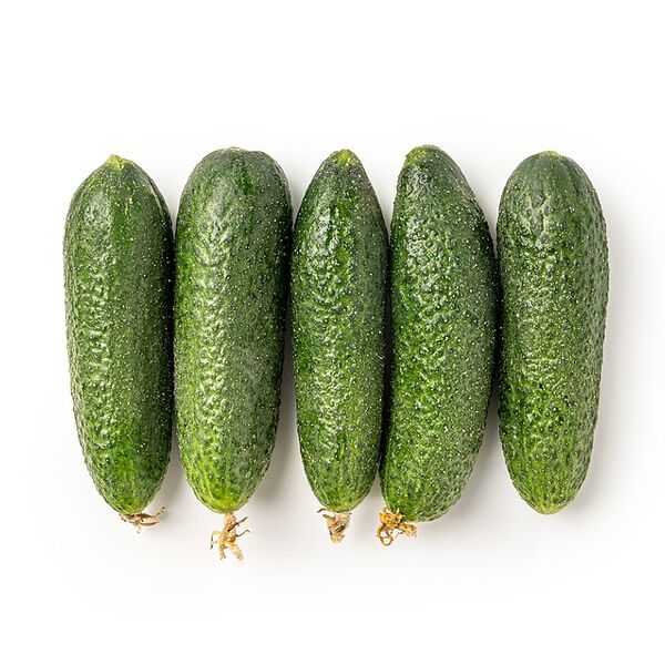 Огурцы корнишоны