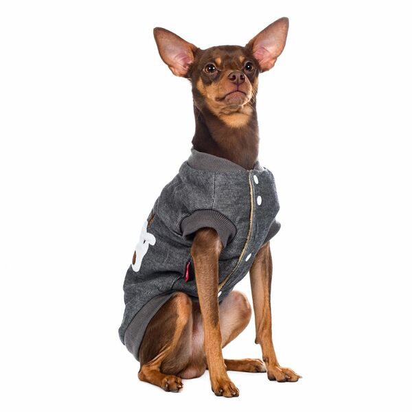 Толстовка для собак 3XL серый (унисекс)