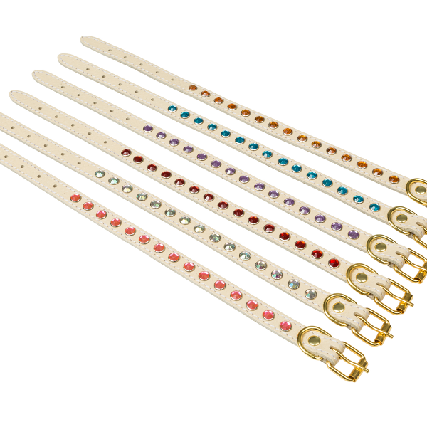 Ошейник для собак Brava со стразами №12 ширина 12мм, обхват шеи 22-28см, цвет в ассортименте