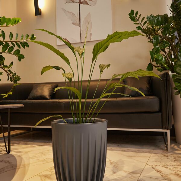 Кашпо ЧЕТЫРЕ СЕЗОНА Сигма D30 36,5 см 18 л антрацит