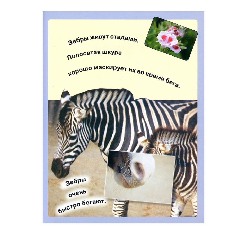 

Книга «Читай, играй, наклеивай. Животные» синяя, «Лабиринт», Испания