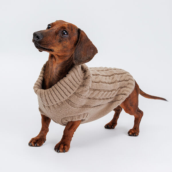 Свитер вязаный для собак, 20 см, коричневый
