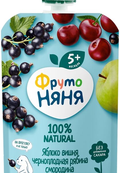 Десерт ФрутоНяня Яблоко, вишня, черноплодная рябина, смородина с 6 месяцев 90г