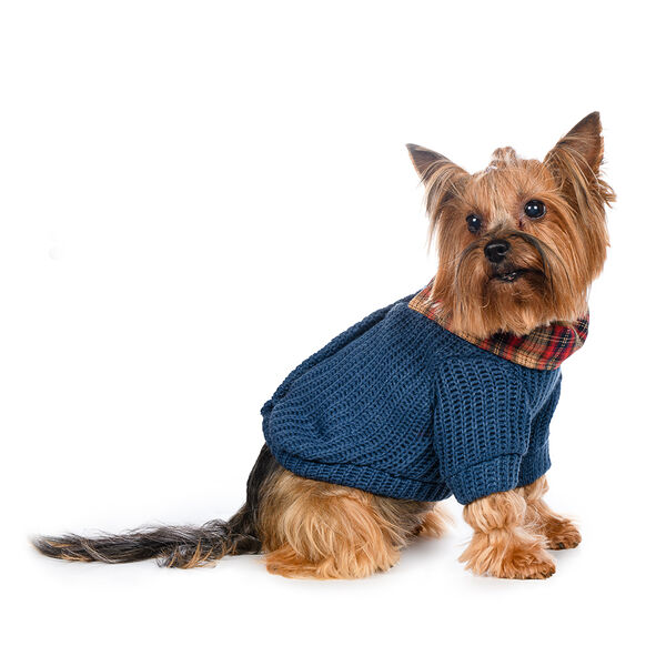 Свитер с пуговицами для собак XS голубой (унисекс)