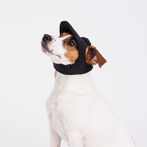 Кепка для собак, S, черная