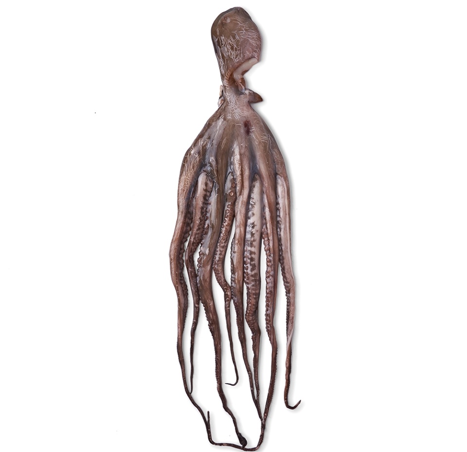 

Осьминог охлажденный, вес