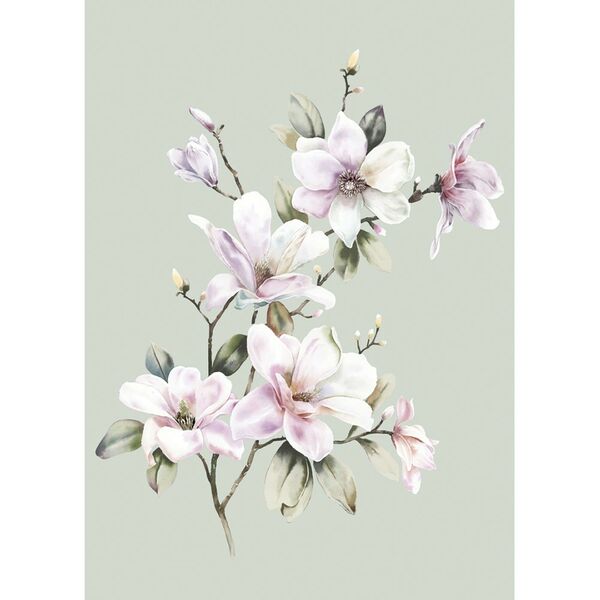 Картина на холсте Ветка магнолии, 50х70 см