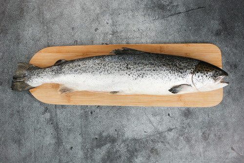 

Лосось Атлантический Лента Fresh тушка, весовой