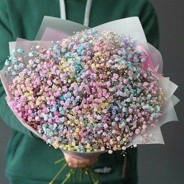 Гипсофила радужная