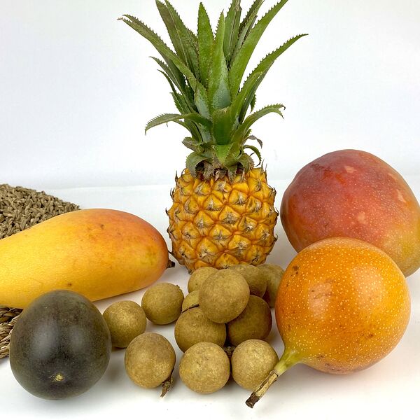 Набор экзотических фруктов №5