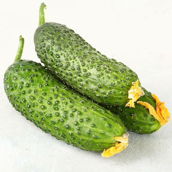 Огурцы короткоплодные, вес ~0.15 кг